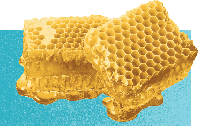 Priore-edupdate-Dec2018-image