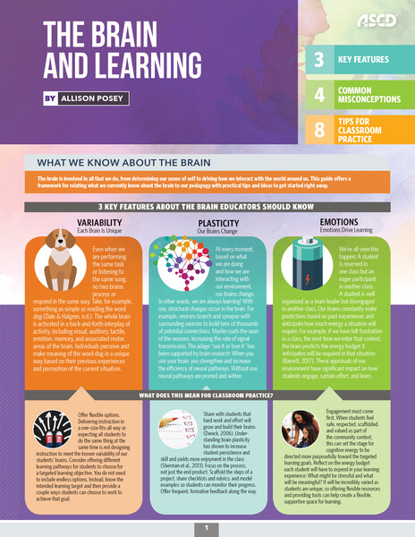 Book banner image for The Brain and Learning